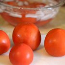 42 Day Tomato Seeds Grown To Organic Standards Extra Early