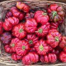 Ralph Thompsons Squash Hot Pepper Seeds Italian