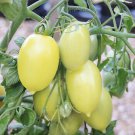Cream Sausage Paste Tomato Seeds Organically Grown Prolific Paste Sauce Canning Eating Tomato