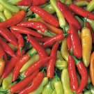 Aji Crystal Hot Pepper 10 Seeds Great Underripe And Mature Spicy Grapefruit Flavor C. Baccatum Hot S