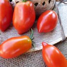 Amish Paste Tomato Seeds Vegetable Seeds Seed Packets