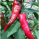 Cyklon Polish Paprika Hot Pepper Seeds Medium Hot Polish Spice Pepper Popular Hot Pepper