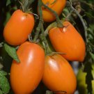 Sibirische Orange Tomato Aka Siberian Orange Russian Seeds Vegetable Seed