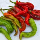 Maules Red Hot Pepper Rare Philadelphia Hot Pepper Seed Naturally And Organically Grown Cayenne Type