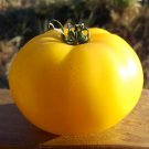 Sun Tomato Seeds Grown To Organic Standards