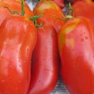 Opalka Paste Tomato Seeds Easy To Grow Exceptional Flavor Canning Paste Sauces Polish
