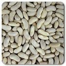 Silver Cloud Cannellini Bush Dry Bean Seeds Grown To Organic Standards
