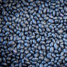 Midnight Black Dry Bush Beans 30 Seeds Very Productive Latin American