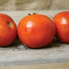 Wayahead Tomato Seeds Grown To Organic Standards