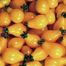 Beams Yellow Pear Tomato Indiana Seeds Grown To Organic Standards
