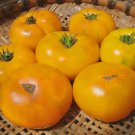 Azoychka Beefsteak Tomato Seeds Vegetable Seeds Seed Packets Russian