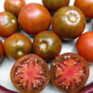 Black Prince Tomato Russian Seeds Grown To Organic Standards