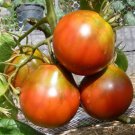 Japanese Black Truffle Tomato Russian Seeds Grown To Organic Standards