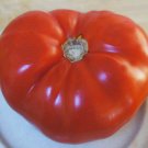 Garveys Beefsteak Tomato Seeds Grown To Organic Standards