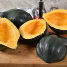 Ebony Acorn Winter Squash Seeds Vegetable Seeds Seed Packets