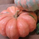 Moranga Winter Squash Seeds Vegetable Seeds Seed Packets Brazilian