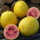 Golden Midget Watermelon Seeds Container