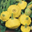 Yellow Bush Scallop Summer Squash Patty Pan Seeds Vegetable Container