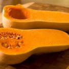 Burpees Butterbush Winter Squash Seeds Vegetable Seeds Seed Packets