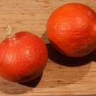 Little Gem Winter Squash Seeds Vegetable Seeds Seed Packets Rare Variety