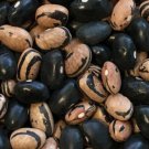 Peregion Dry Bush Oregon Seeds Grown To Organic Standards Multicolored Productive
