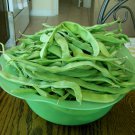Early Riser Pole Snap Romano Bean Aka Kwintus Seeds Grown To Organic Standards Early