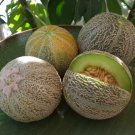 Eden Gem Rocky Ford Melon Seeds Organic