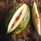 Piel De Sapo Melon Christmas Melon Frog Skin Santa Claus Melon Long Storing Melon Spanish Crock Or A