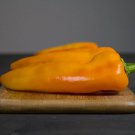 Gatherers Gold Sweet Italian Pepper Seeds Open Source Seed Initiative Naturally Grown