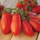 Ten Fingers Of Naples Paste Tomato Italian Seeds Grown To Organic Standards Vegetable Rare