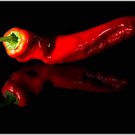 Tollis Italian Sweet Pepper Seed Semi Rare Italian Sweet Pepper Organically Grown