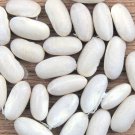 Great Northern Dry Bush Bean Hidatsa Seeds Grown To Organic Standards Soup Baked