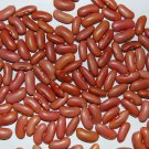 Light Red Kidney Bush Bean Seeds Grown To Organic Standards