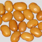 Nez Perce Bush Dry Bean American Seeds Grown To Organic Standards