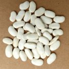 Tarbais Pole Bean French Cassoulet Rare Hard To Find French Seeds