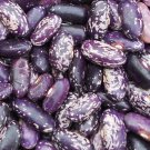 Kebarika Bush Dry Bean Rare Kenyan Seeds Vegetable Seeds Seed Packets