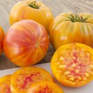 Big Rainbow Tomato Bi Color Beefsteak 20 Seeds Grown To Organic Standards