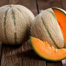 Golden Delicious Cantaloupe Melon Seeds Vegetable And Fruit Seeds Organically Grown