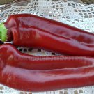 Numex Joe E. Parker Hot Pepper Seeds Popular Hot Pepper For Stuffing Roasting Grilling Salsas