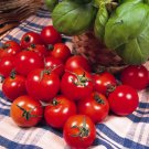 Ers Delight Cherry Tomato Seeds Super Sweet Early German Grown To Organic Standard