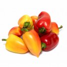 Antohi Romanian Sweet Pepper Seeds Vegetable Seeds Seed Packets