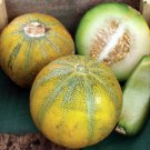 Ha Ogen Melon Rare Israeli Melon Seed Organically Grown Seed