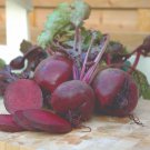 Bolthardy Beets 200 Seeds Early Variety Vegetable