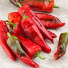 Barker Hot Hot Pepper Seeds Naturally Grown Anaheim Type Pepper 15000 – 30000 Shu