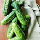 Cucumber National Pickling Cucumber Seeds Vegetable