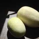 Dragons Egg Cucumber 20 Seeds Vegetable Seeds Seed Packet Croatian