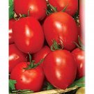 Rio Fuego Paste Tomato Seeds Grown To Organic Standards Italian