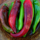 Sonora Mild Anaheim Hot Pepper Seeds Vegetable Seeds Seed Seeds