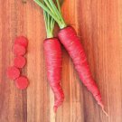Carrot Atomic Red 300 Seeds Ful High Antioxidant Lycopene Crisp Roots Specialty Carrots