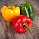 Peace Bell Sweet Pepper Oregon Sweet Pepper Seed Naturally And Organically Grown Sweet Early